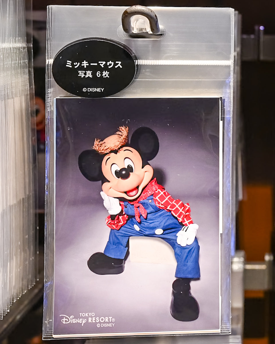 ミッキー、ミニー、ドナルド、チップ＆デール！ 東京ディズニーランド