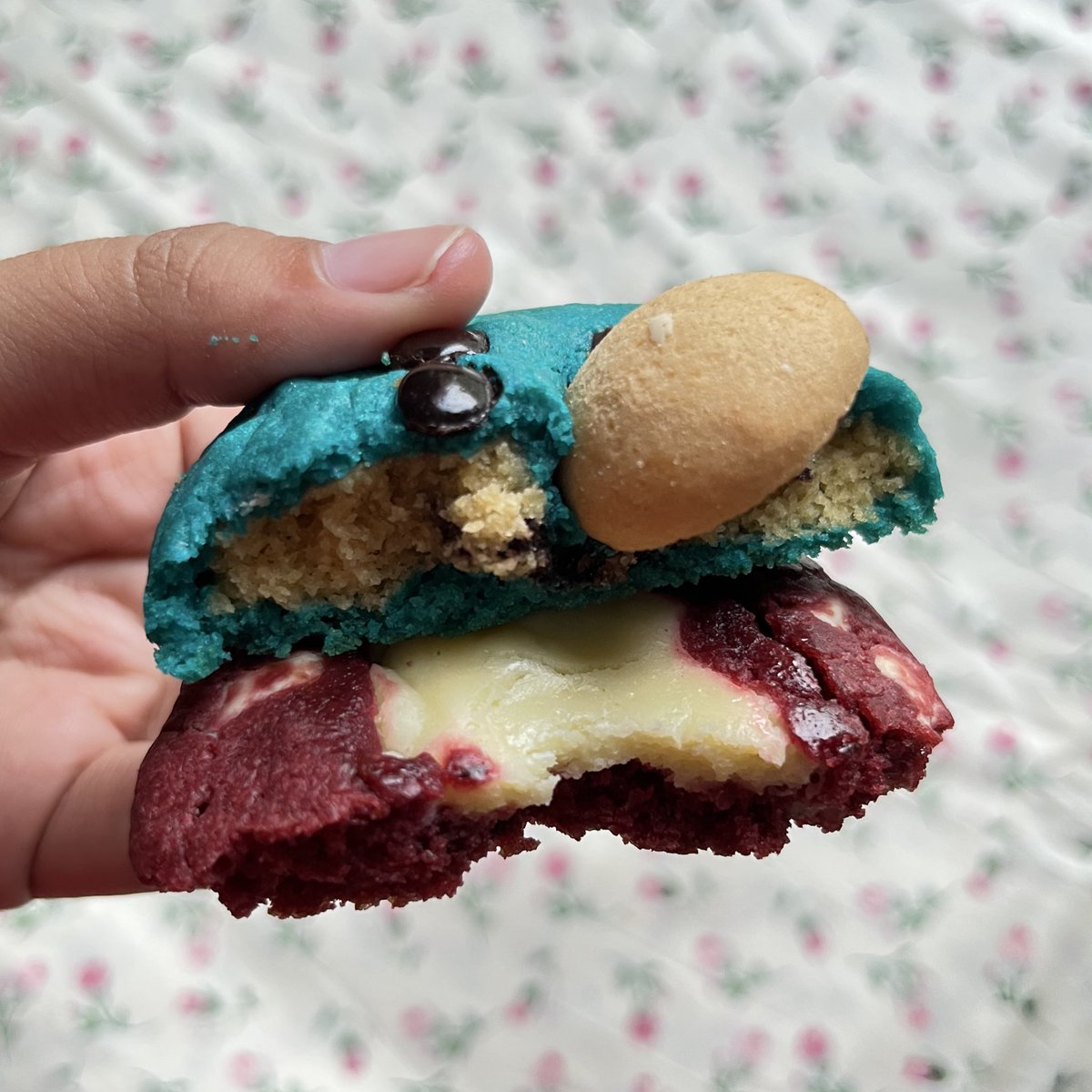 alsaa 𓃠 tweet media