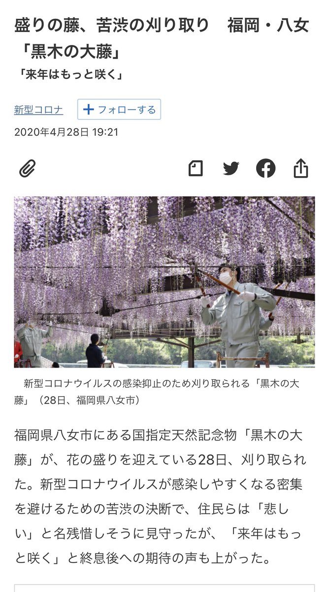 unkotaberuno's tweet image. 見よ！　これが科学立国・JAPANの科学的感染対策ダッ！　感染対策は、ハサミと電ノコとマスクでバッチリ！　コレがエビデンスだ！　さすが日本、世界一民度が高くて他者への思いやりがある国ですね！　日本に生まれて良かった