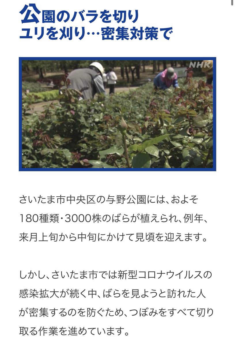 unkotaberuno's tweet image. 見よ！　これが科学立国・JAPANの科学的感染対策ダッ！　感染対策は、ハサミと電ノコとマスクでバッチリ！　コレがエビデンスだ！　さすが日本、世界一民度が高くて他者への思いやりがある国ですね！　日本に生まれて良かった