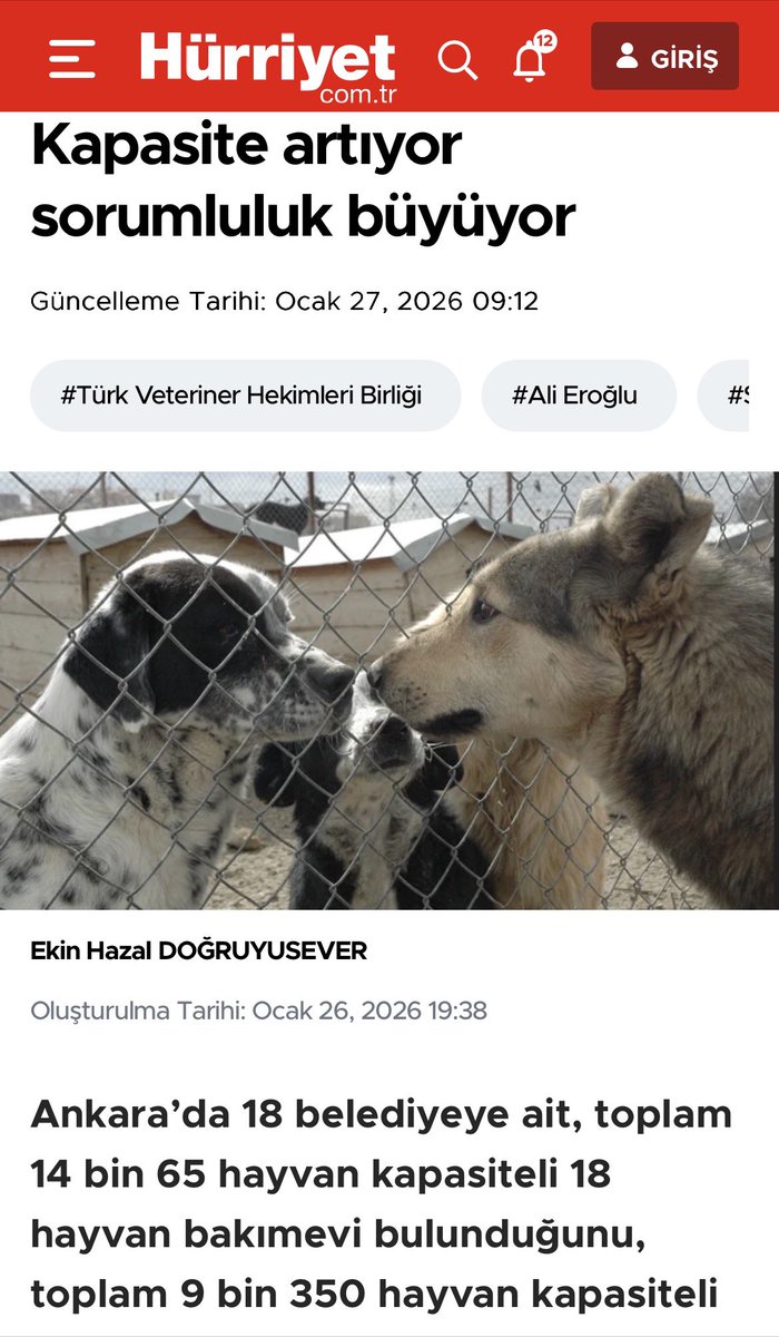 Türk Veteriner Hekimleri Birliği tweet media