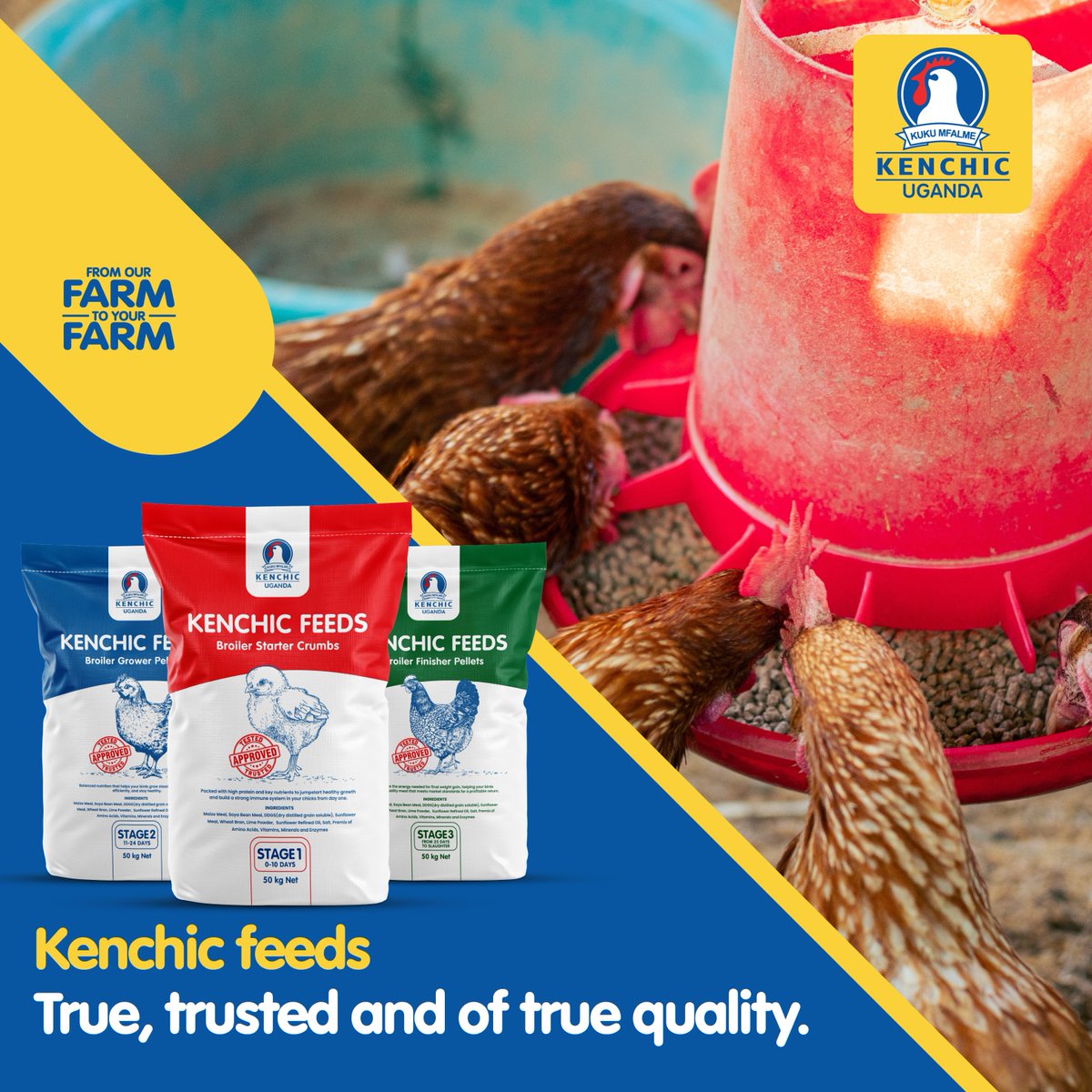 Kenchic Uganda Day-Old Chicks (@Kenchic_Uganda) / Posts / X