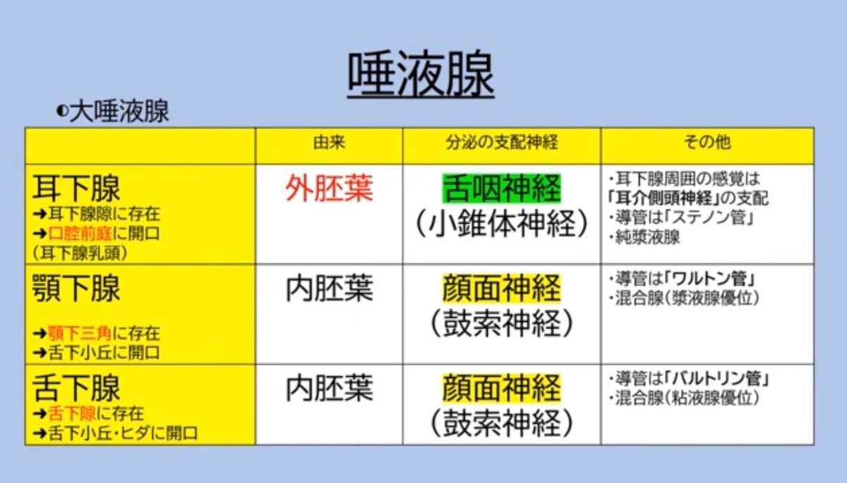 119回歯科医師国家試験対策 ロムニーハウス勉強会【講師 Dr.N