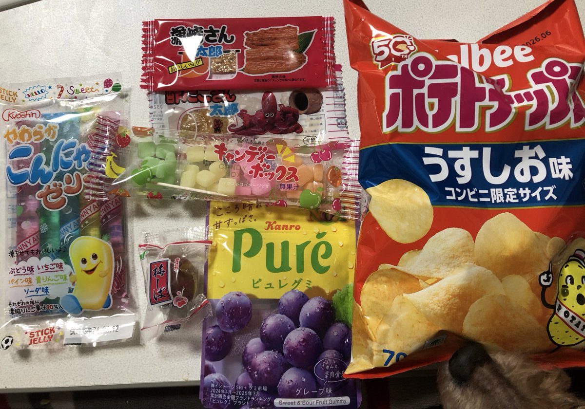 𝕏 かぉりん:||歌織:|| Kaori:||🐼🌈🪽 (@Kaorin_n0613) / Posts / X