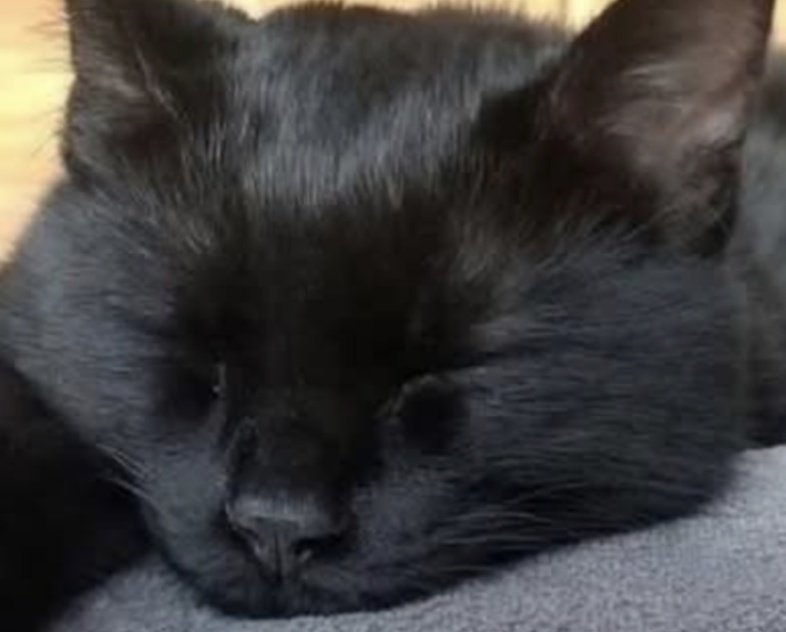 よちえ ℛ⃛ੈ0 tweet media