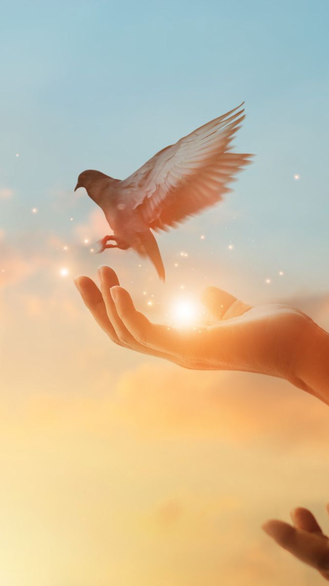 ⚖️رنـيـم⚖️ tweet media