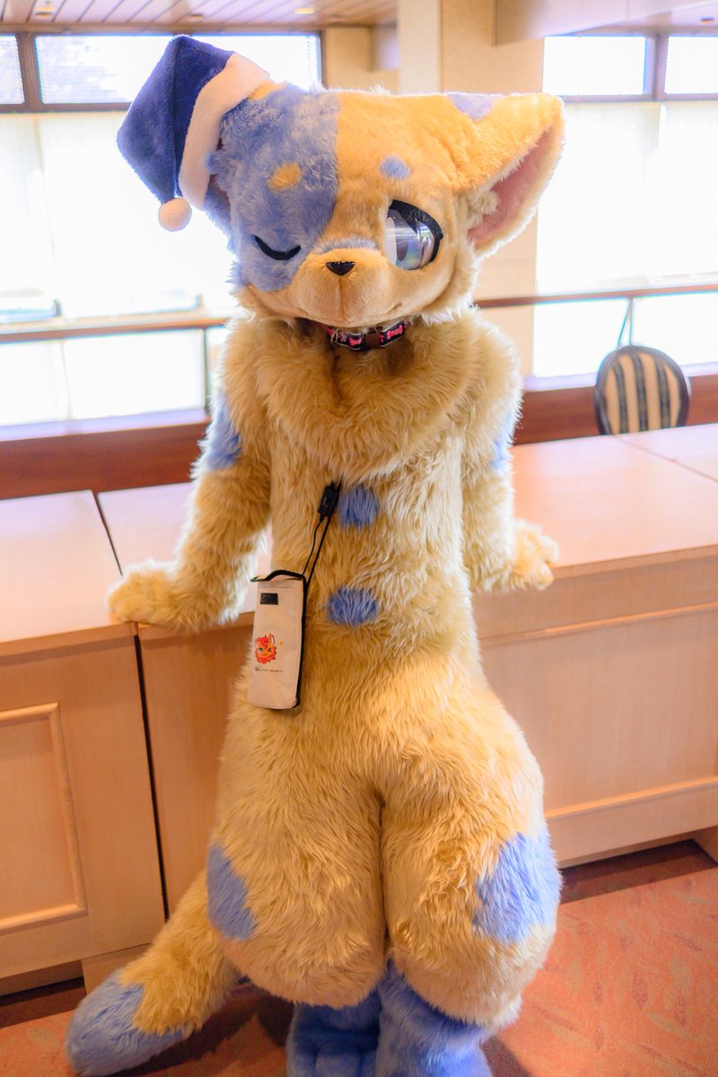 すやぁ〜💤🌙
僕のぽんぽんナデナデしてくれるの〜？
へそ天しちゃうよ僕〜🐈💤
 #お腹撫でたい人いいね
#FursuitEveryday