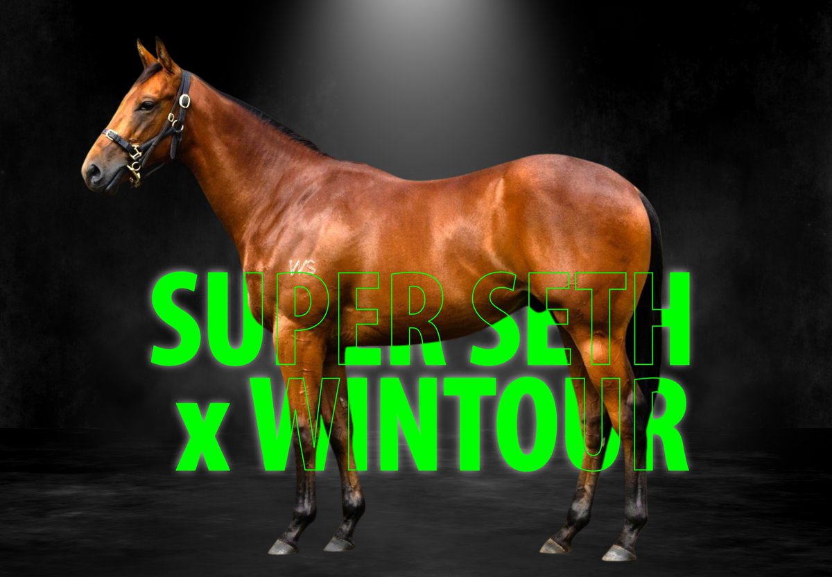 PR🟢VEN Thoroughbreds tweet media