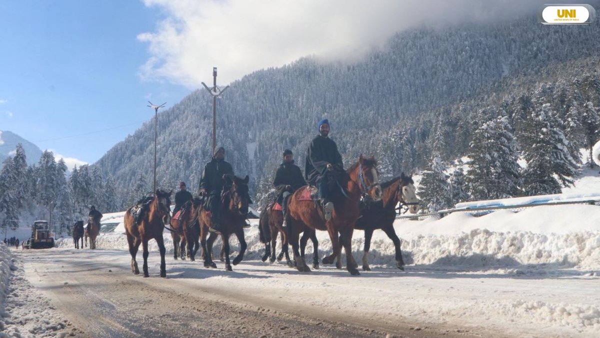 uniindianews's tweet image. In Photos | Tourists take a horse ride during fresh snowfall as Pahalgam and other parts of Jammu and Kashmir are blanketed in snow.

📸: Shah Junaid / UNI

#JammuAndKashmir | #Pahalgam | #Snowfall | #Snow | #UNI