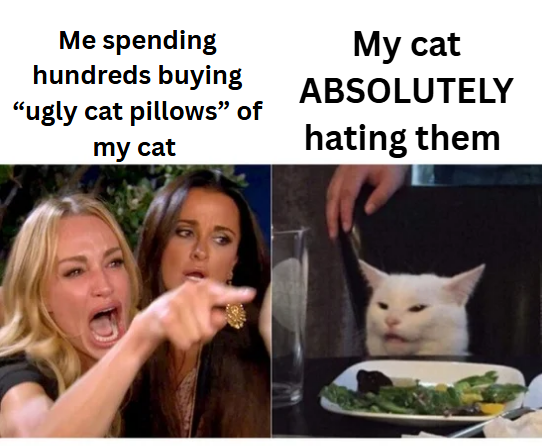 essentials62391's tweet photo. Are you looking for ugly or cute cat pillow ideas? Turn your kitty into a comfy &amp; hilarious pillow! #CatPillows #CatLovers #PetDecor #CuteCats #FunnyPets

Check out our blog for top 5 brands that make great pet pillows: https://t.co/O6SAhqAA2V https://t.co/v90K3vhY20