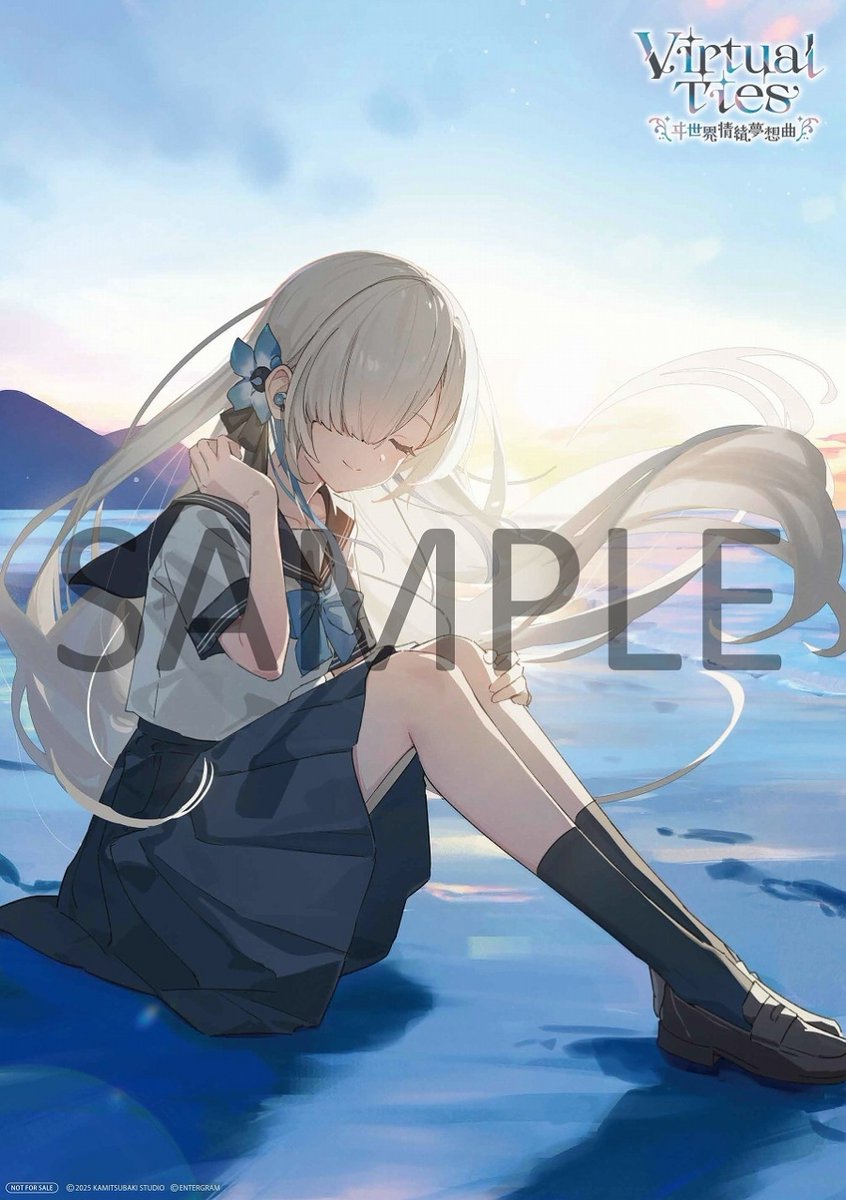 🎮 Nintendo Switch / Steam 🎮 夢(バーチャル)は、君との絆で現実