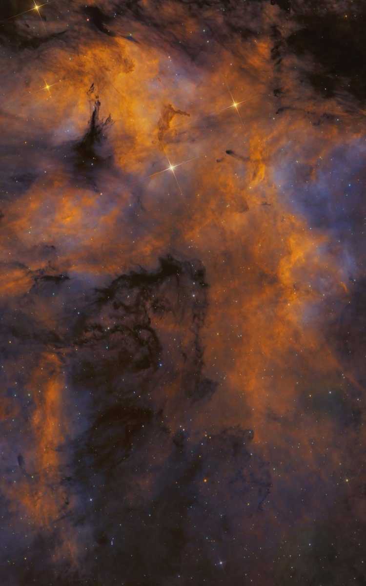 I’m incredibly lucky to have the opportunity to share the universe with you all. Thanks for joining me on this nonstop hype train for all things space! 

I have a few really exciting projects I’m working on that I hope will blow your mind!