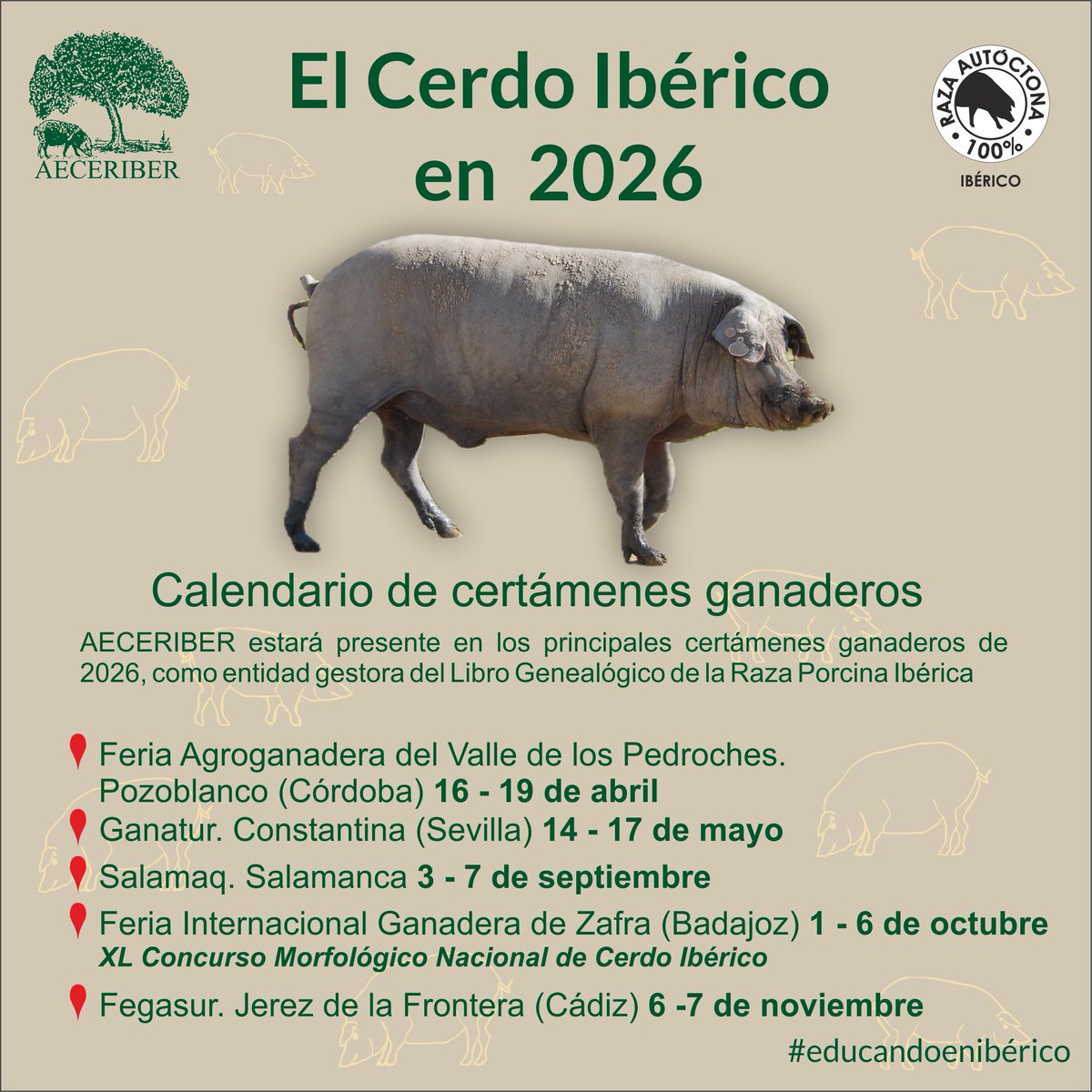 AECERIBER tweet media