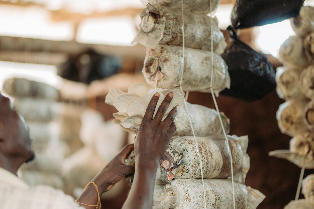 BRAC Uganda tweet media