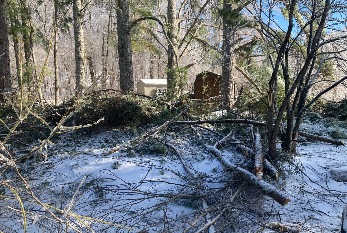 Tom Naughton tweet media