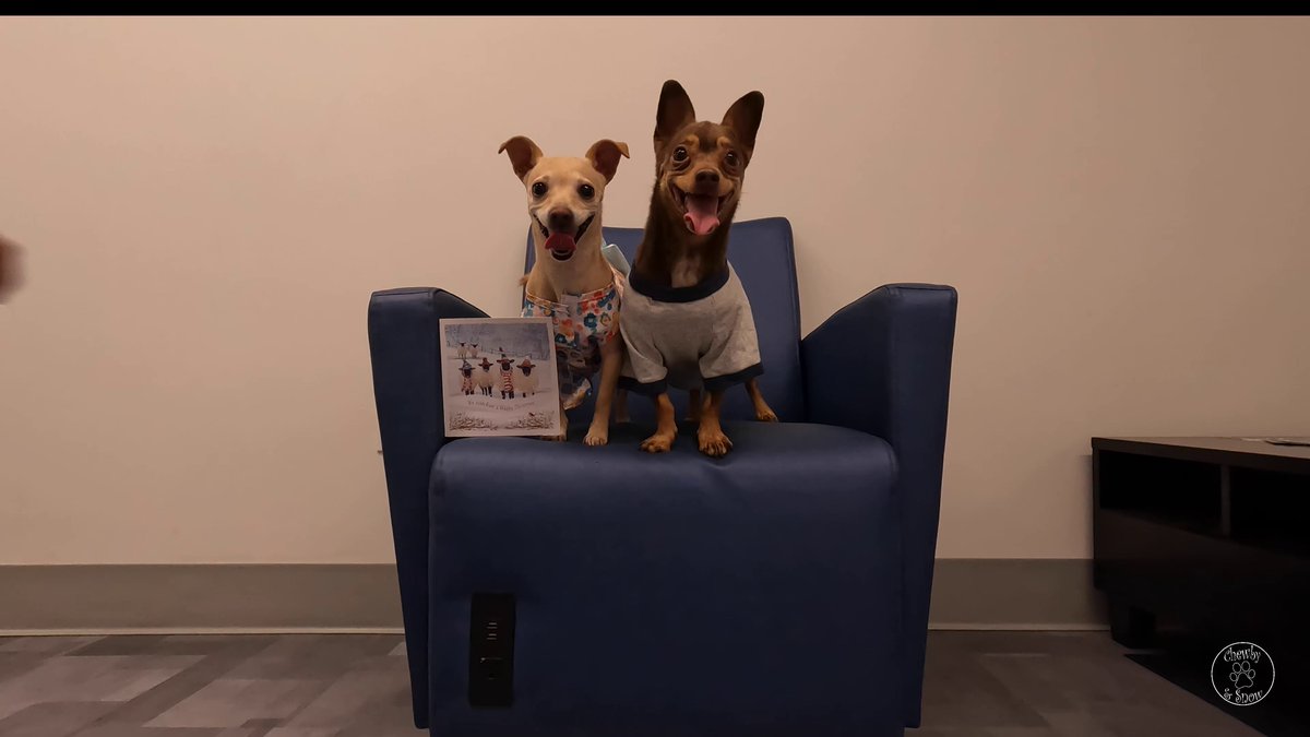 Thank you Alfie &amp; Jinnie <a href="/Alfie_Boy_Dog/">Alfie Boy Dog</a>  for your lovely Christmas card! It's lovely! Hugs from us. 
 
youtu.be/9VLLjKwLdBY?si…

#DogsOfTwitter #dogsofX #Christmascards #dogs #dog