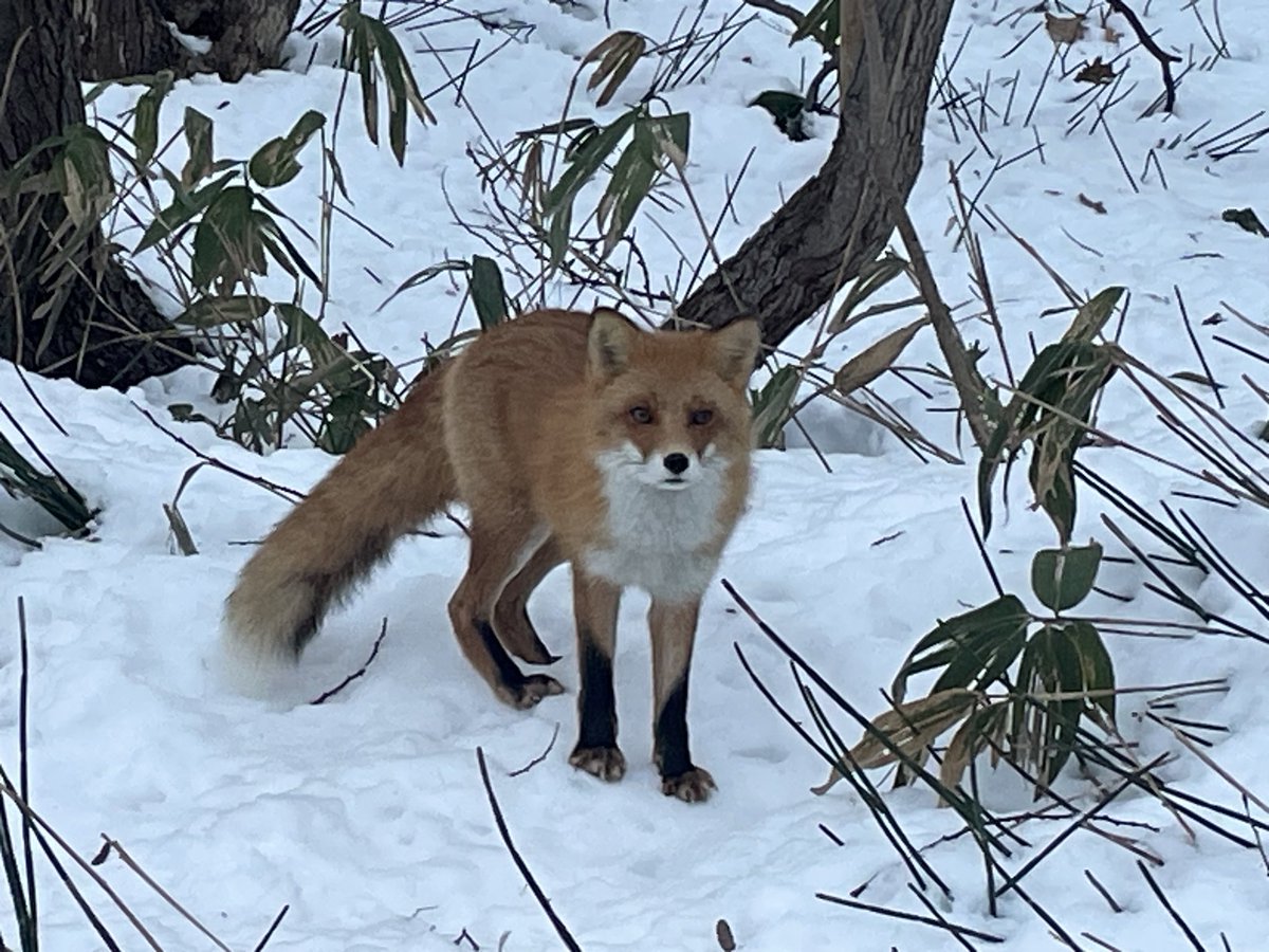 かっつん🤪 tweet media