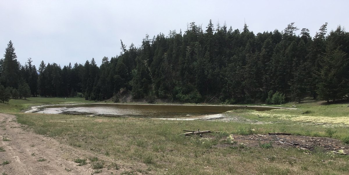 BC FPBoard tweet media