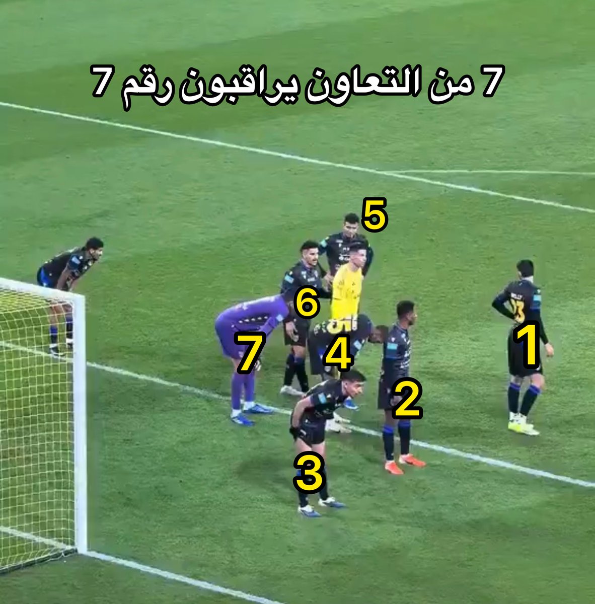 لقطة الموسم