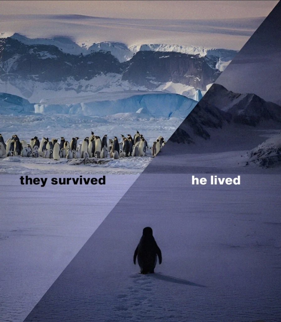 CryptoDevinL's tweet photo. The Nietzschean Penguin is becoming a new kind of faith.

Most people live merely to survive, having long abandoned their dreams and will.

But this penguin is different, 
it does not live because it must, but because it chooses to.

I know the world is absurd, yet I still choose to stand.