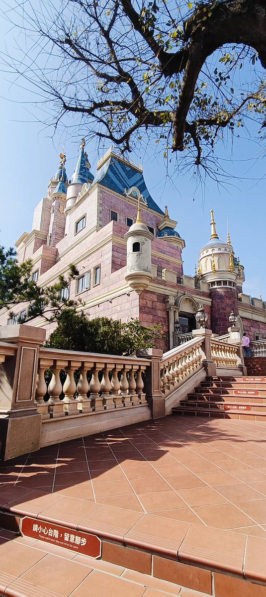 陳夫妻 tweet media