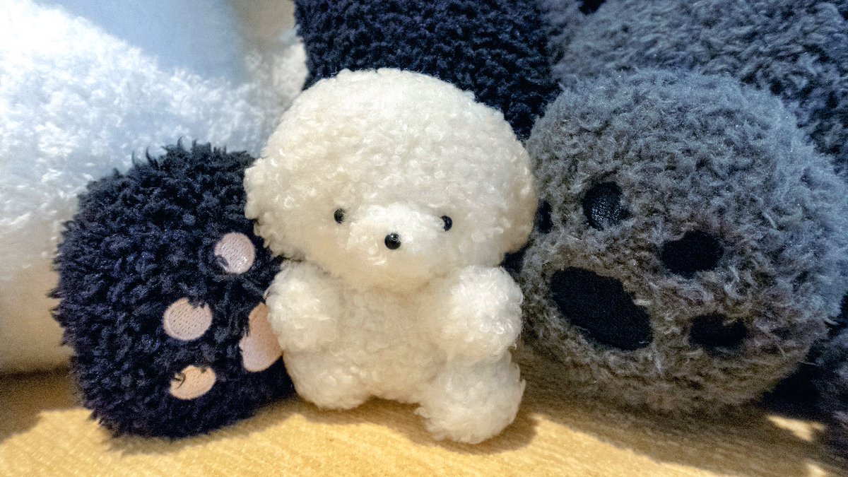 じょせまる tweet media