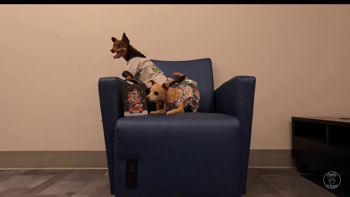 Thank you Higgins <a href="/prefect/">Higgins! 🇨🇦</a> for our Christmas card!! You are so sweet. We loved the surprise. Hugs from us. 

youtu.be/9VLLjKwLdBY?si…

#dog #dogsofX #DogsOfTwitter #Christmascards #Christmas