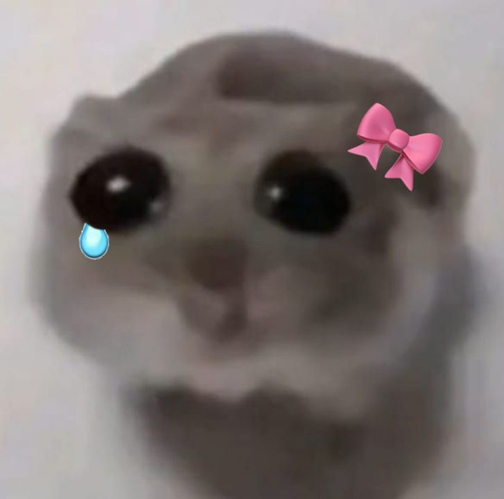 ㅤㅤㅤㅤㅤ
LLORE TU MUERTE #NV
ㅤㅤㅤㅤㅤ