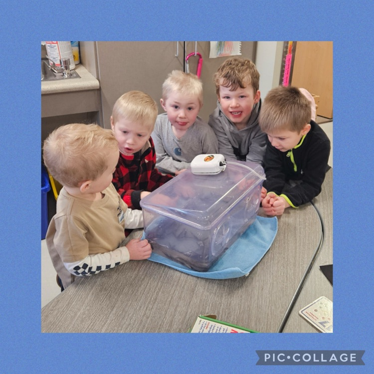 ACGC Public Schools tweet media