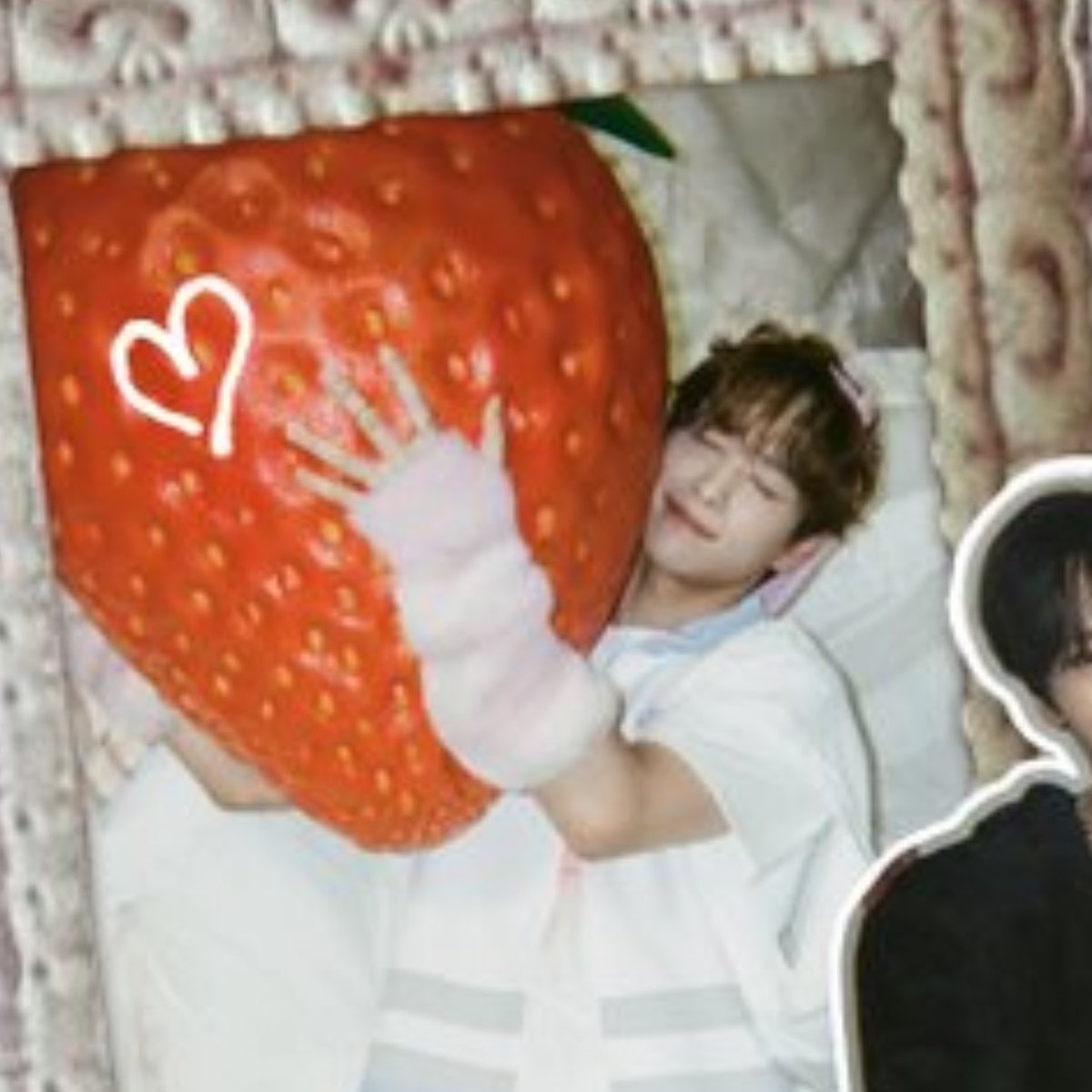 ruru🕊𓂃𓈒𓏸︎︎︎︎ tweet media