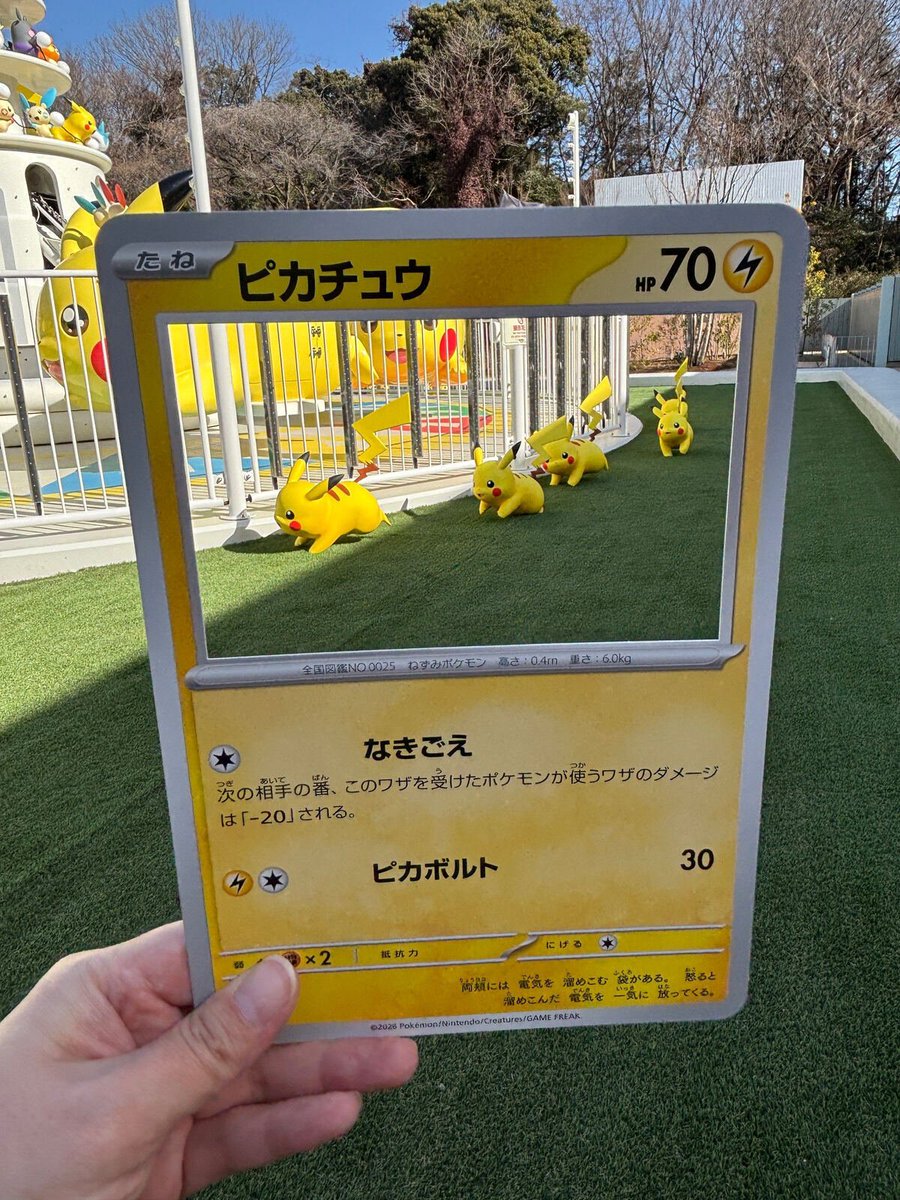 ポケパーク カントー】 ポケモンカードをモチーフにしたステッカー