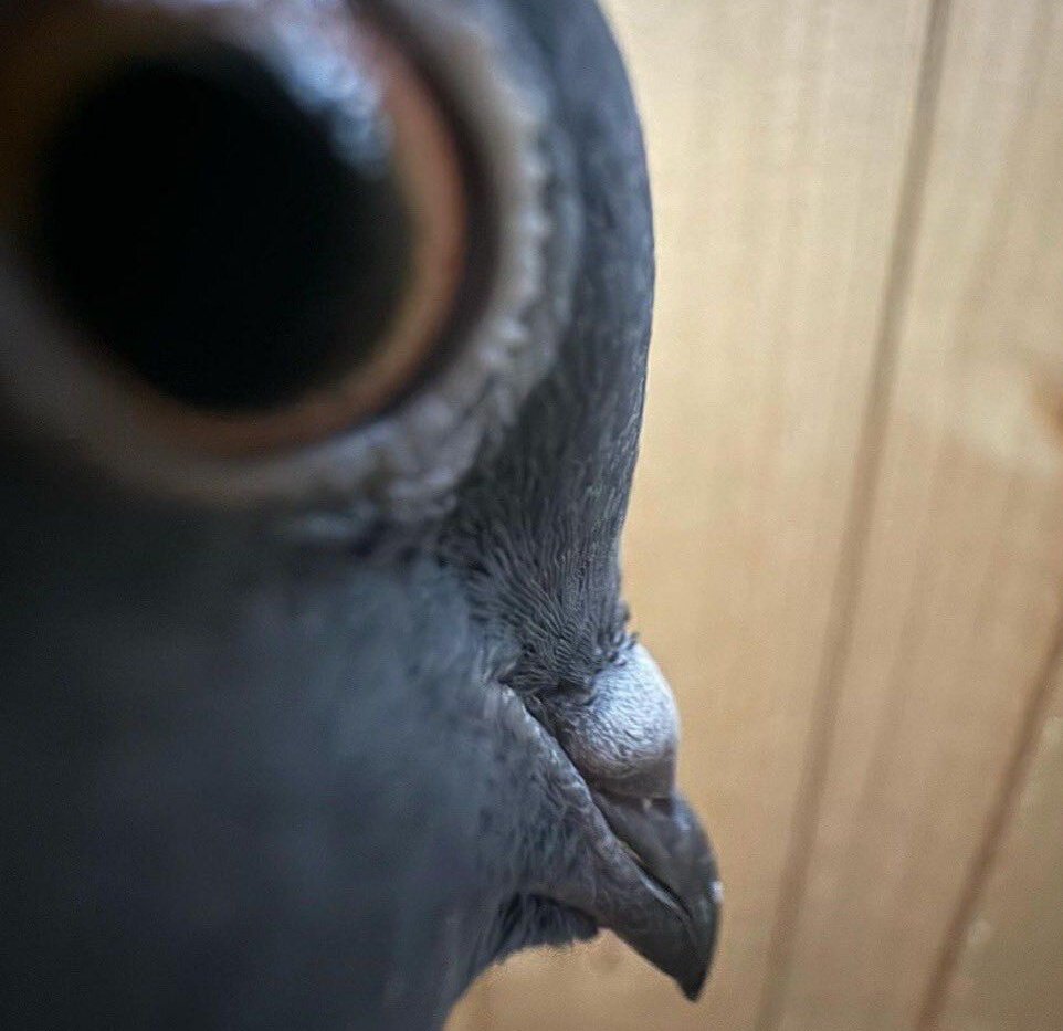 Okay it's 4 am please appreciate it