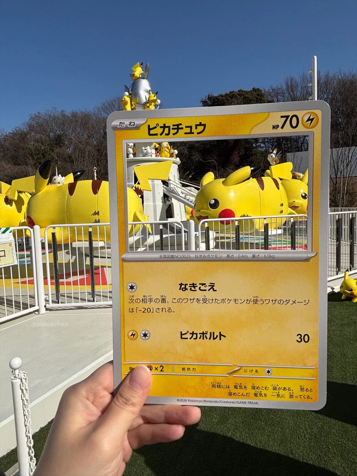 ポケカ予約速報@ポケモンカード情報 on X: 