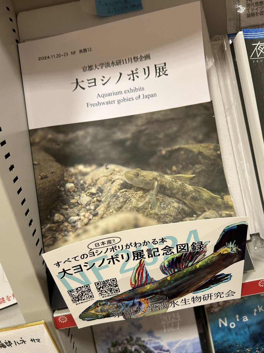 京都大学生協 ショップルネにて紙版ヨシノボリ図録発売中です‼️
