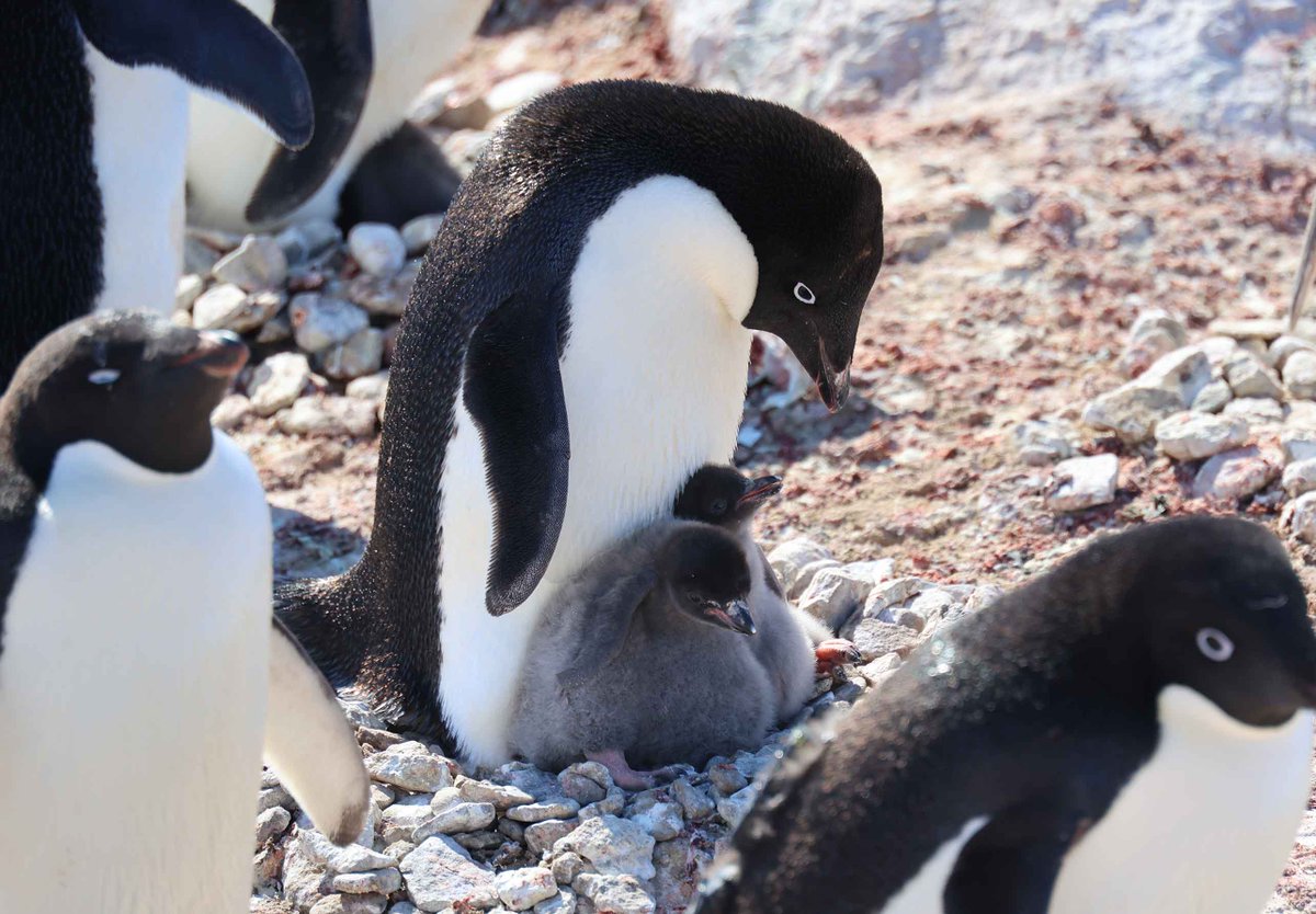 中山由美 tweet media