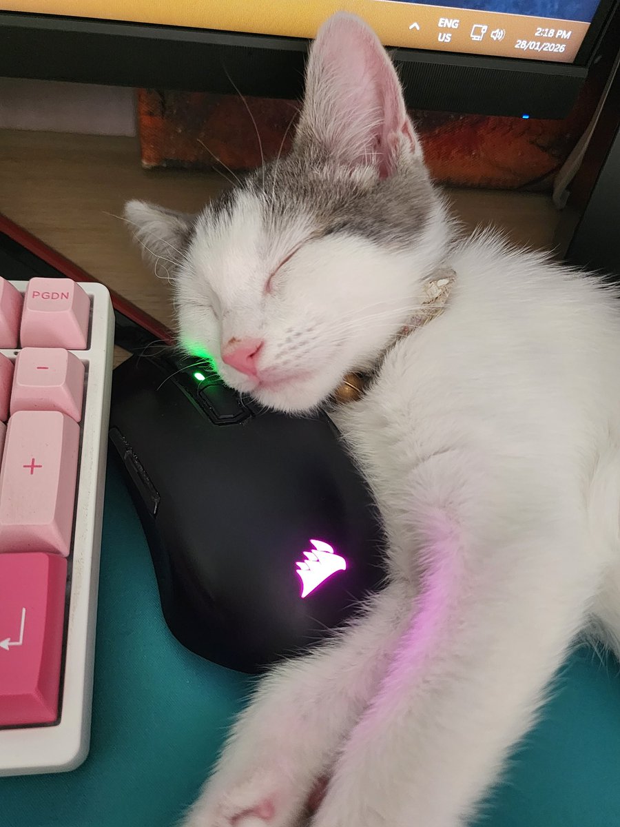 DaniellaMakesThings tweet media