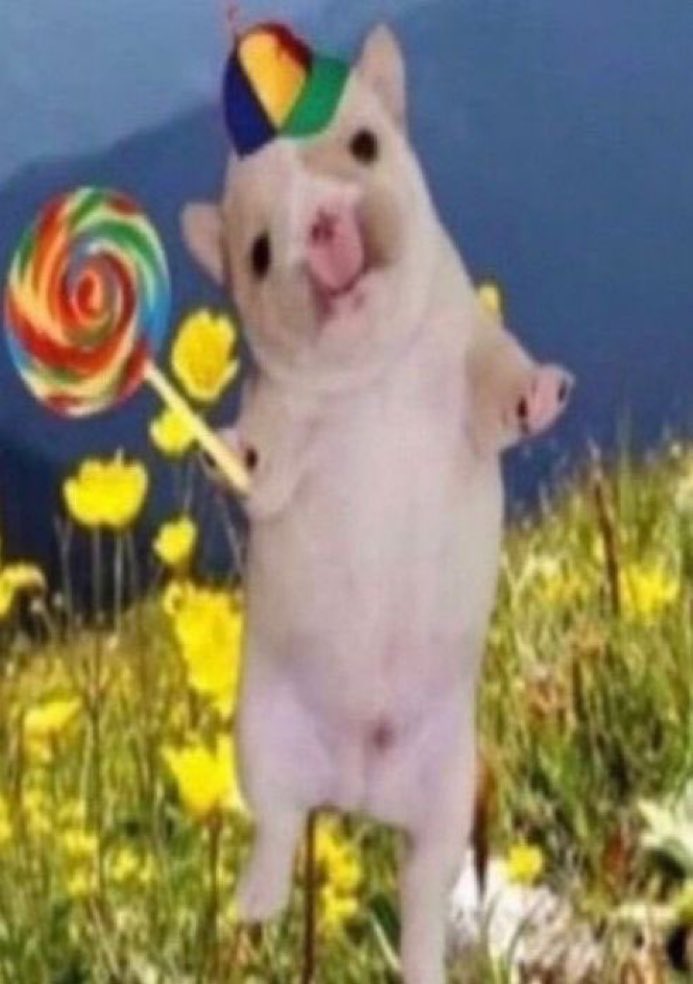 Kane 🦭🌷 tweet media