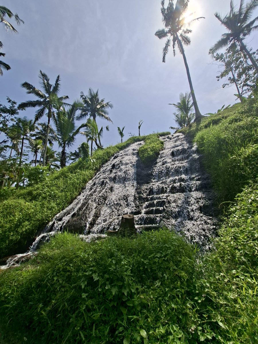 Mark Kuatbayev tweet media