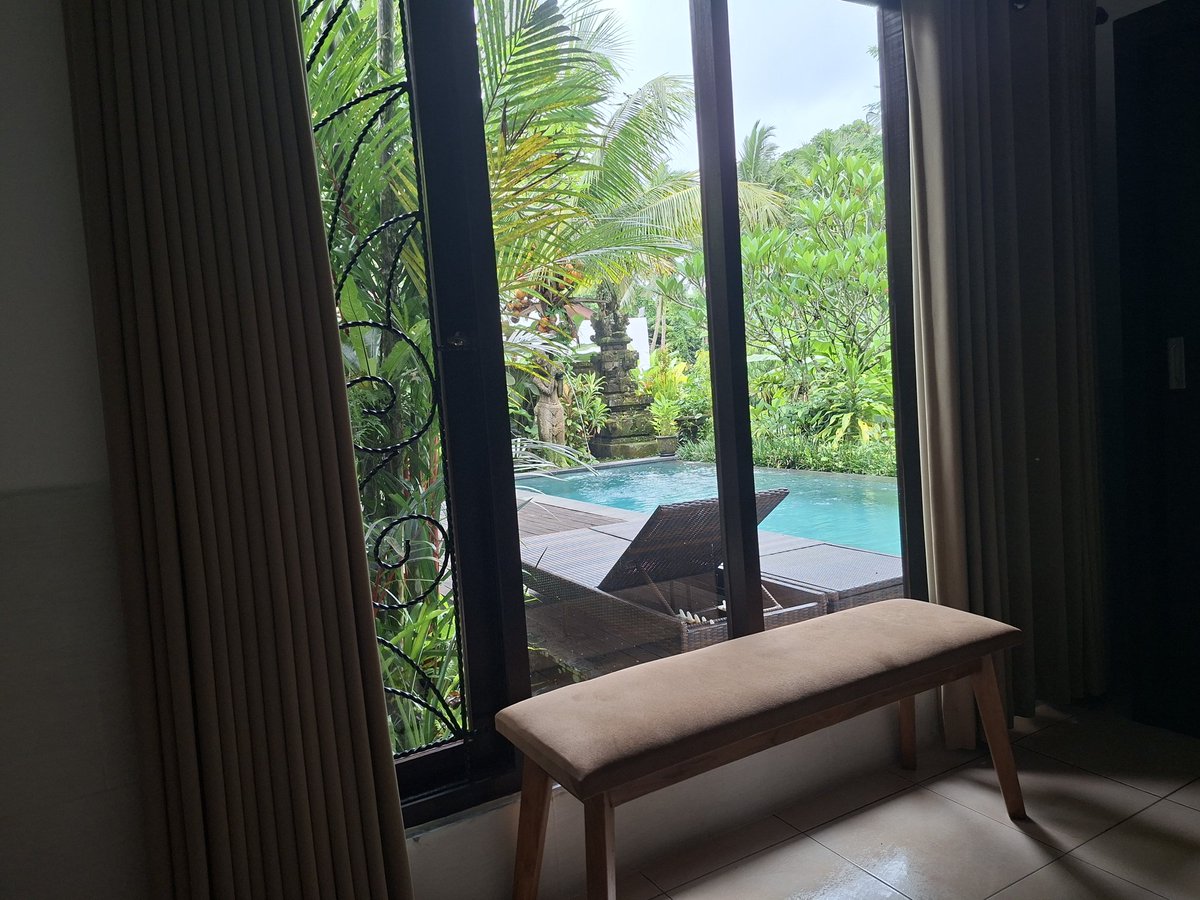 Mark Kuatbayev tweet media