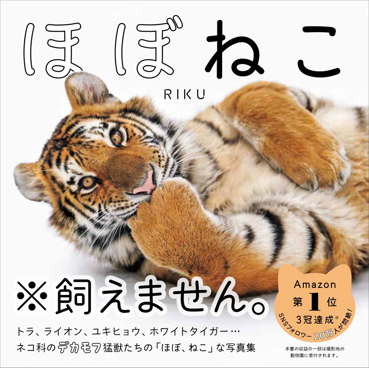 ㊗2月2日 #ほぼねこの日
㊗写真集『ほぼねこ』第6刷の重版決定

ネコ科猛獣のかわいすぎる写真集『ほぼねこ』（RIKU著）と2月22日 #猫の日 にちなみ、今年も2月2日を「ほぼねこの日」とさせていただきます🐯🐱🦁
※１年ぶり3度目

#2026年ほぼねこの日 を #ほぼねこ 写真でお祝いしましょう🎉