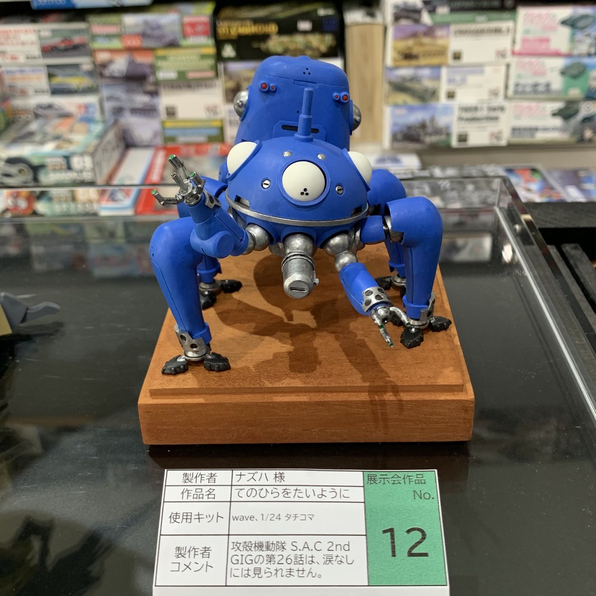 第10回 模型作品展示会】 作品No. 12 制作者: ナズハ 様 作品名