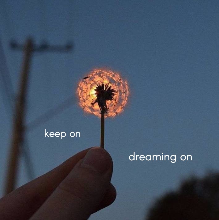 Novelle art. tweet media