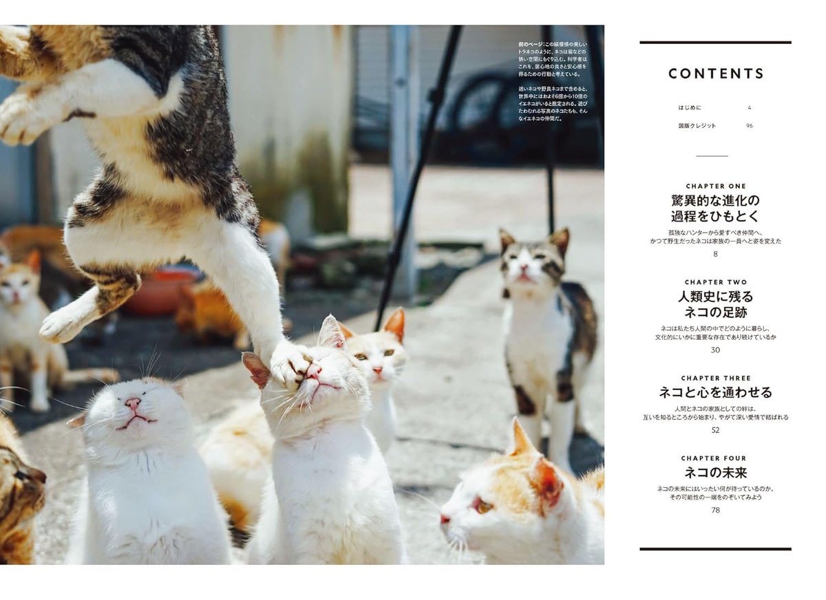 昨日、｢ネコは天才｣を購入しました。 今日は午前中に全て終わらせた