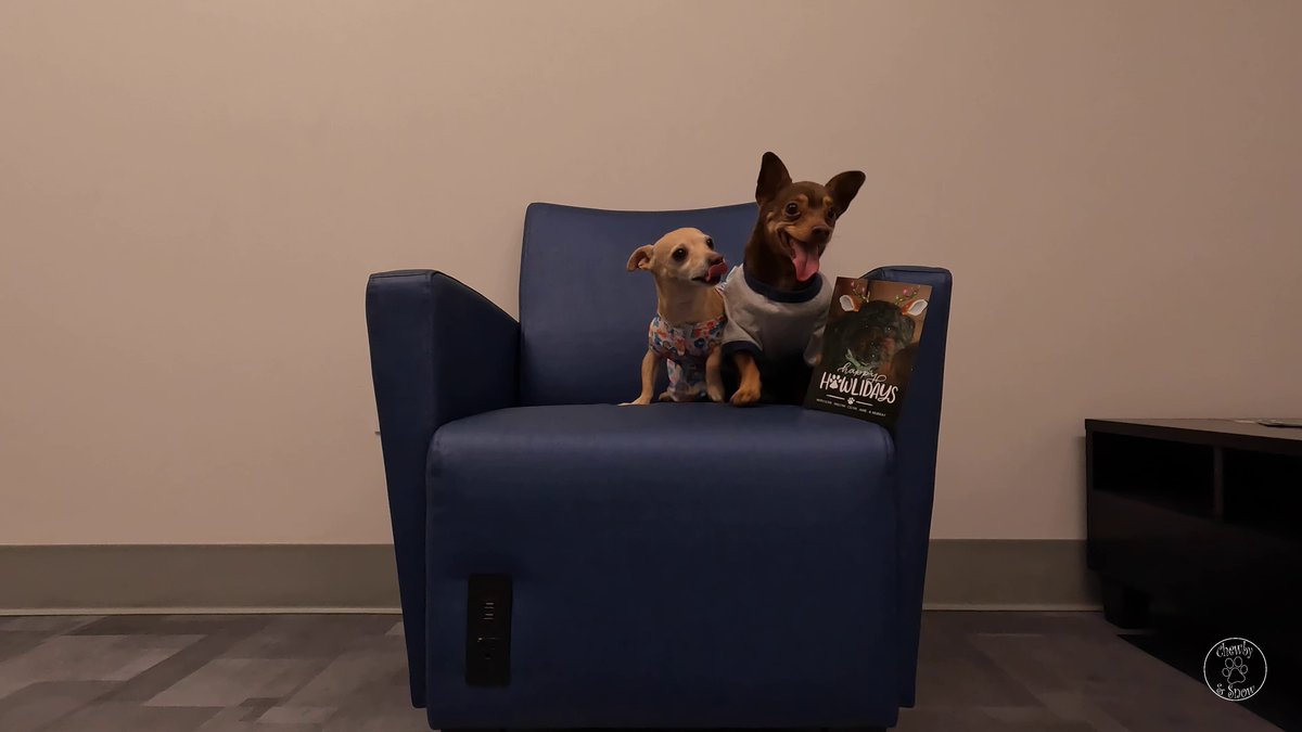 Thank you Willow <a href="/lessofme330/">Amie & Willow</a> for our beautiful Christmas card! You are the most beautiful reindeer ever! Hugs from us.

youtu.be/9VLLjKwLdBY?si…

#dog #dogs #DogsOfTwitter #dogsofX