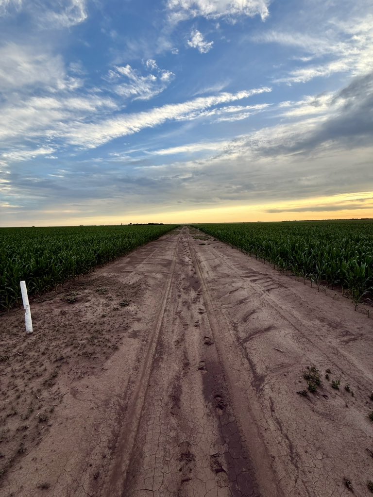La bendición de la lluvia