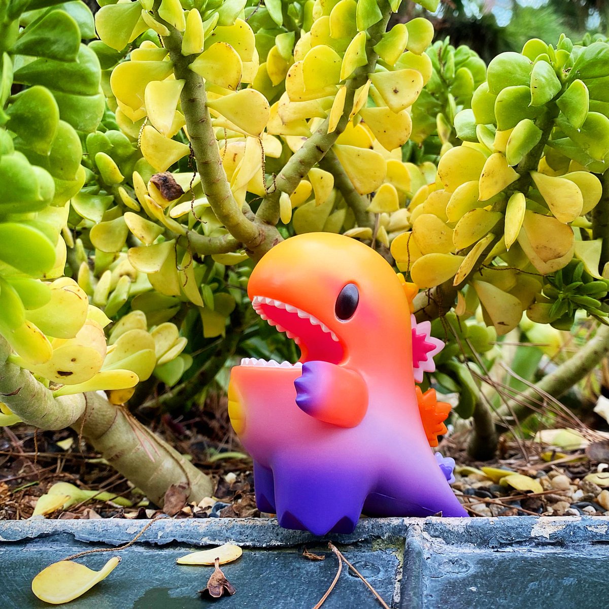 🌿💛🧡🩷💜🦖🌿

#ziqi #ziqiDino #ziqiToys #arttoy #designertoy
