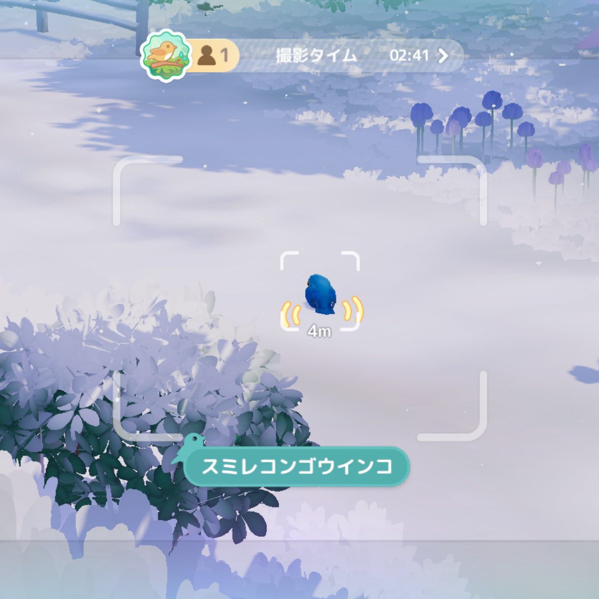 piahart__367's tweet image. 🌟ハートピア野鳥図鑑🌟

スミレコンゴウインコ発見🦜
巣ごもりクエストです❁⃘*.ﾟ

#ハートピア #ハートピアスローライフ 
 #ハートピア野鳥図鑑