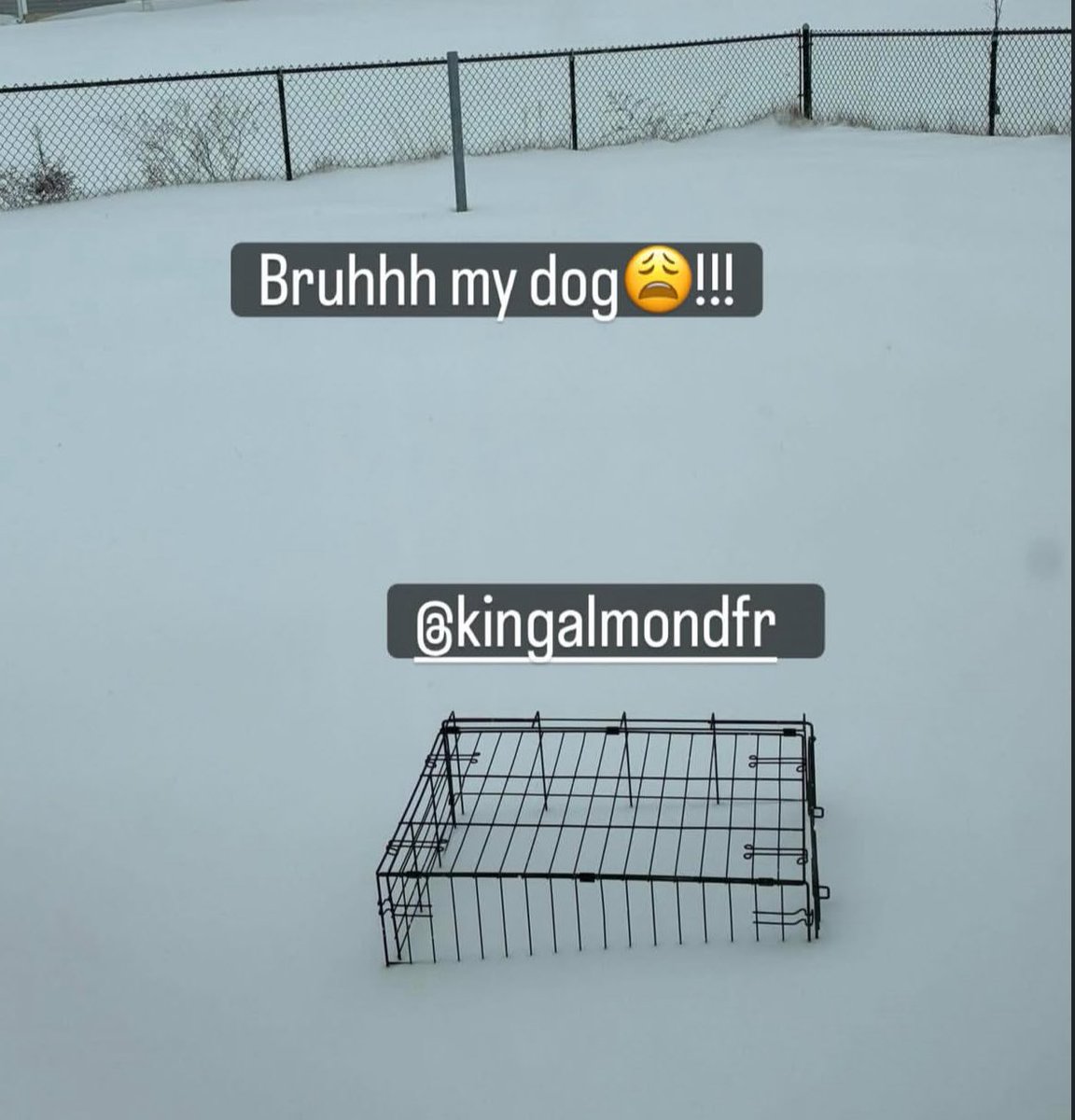 iHateMyBtch's tweet photo. 😭😭😭😭😭😭😭😭 https://t.co/p5Cap5CBZv