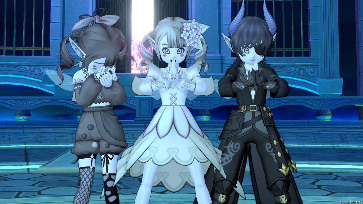 pira_dqx's tweet photo. めぜ活！ https://t.co/VpzauDa23d