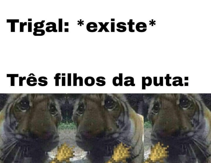 Renmaa_owo's tweet image. Por alguna razón, los brasileños ven mayormente mis memes

Así que acá dejo un meme en portugués
